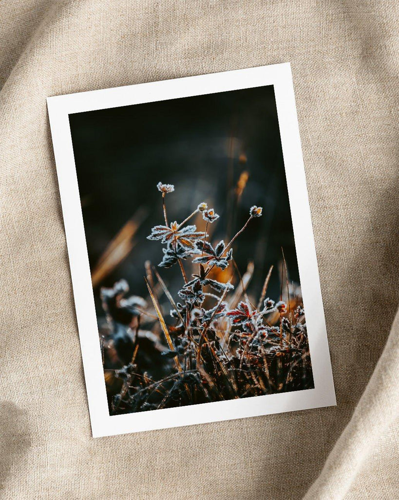 Frostmorgon - Posters Prints & Visual Artwork